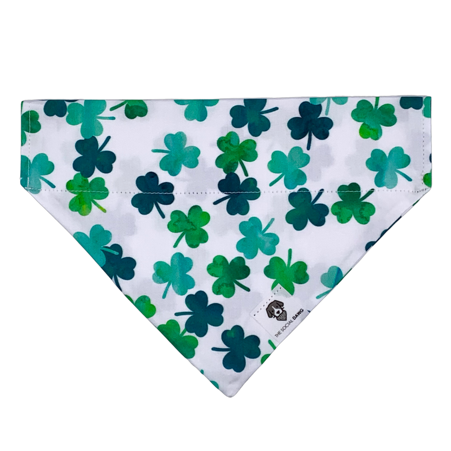 St. Patrick's day shamrocks green dog bandana