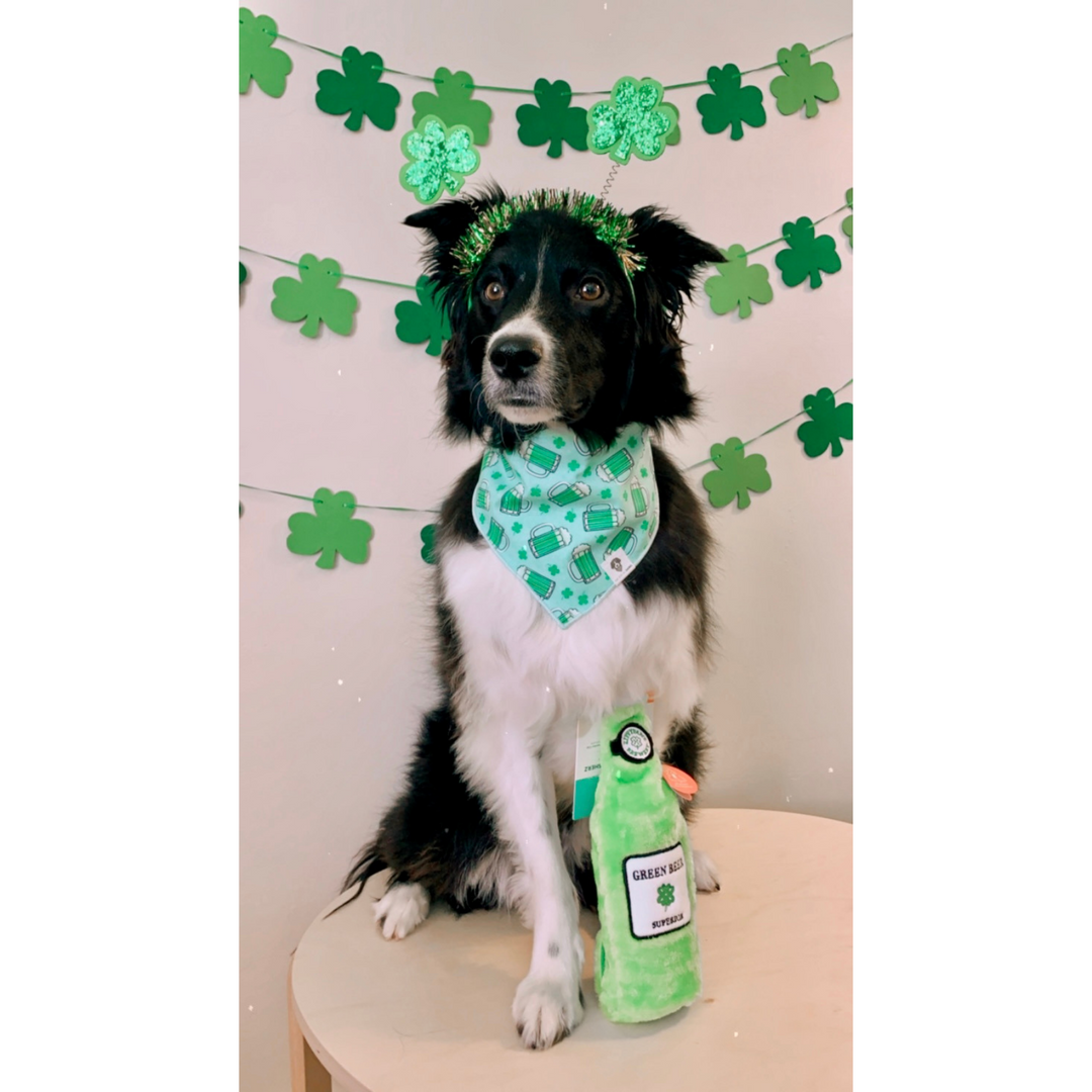 St. Patrick's Green Beer Tie-On Dog Bandana