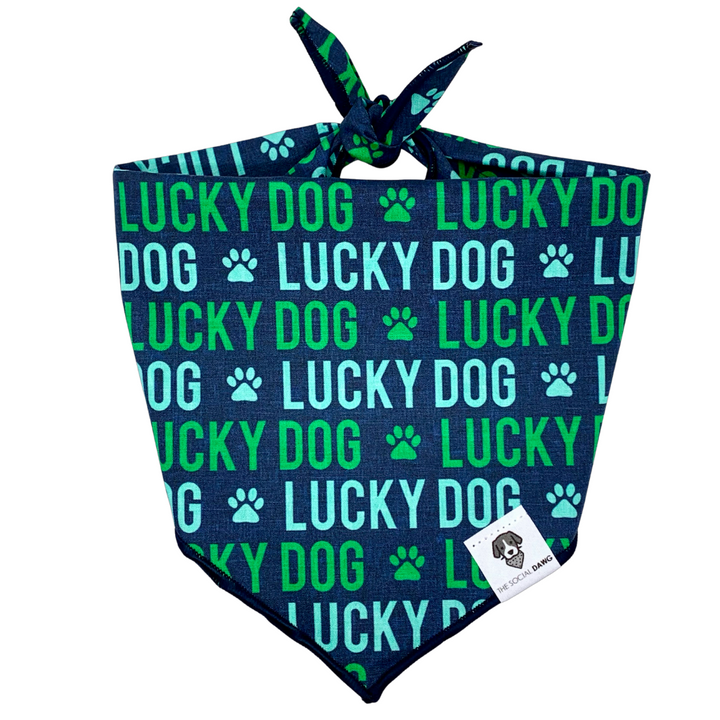 Lucky Dog St. Patrick's Tie-On Dog Bandana