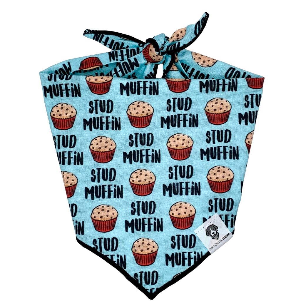 Stud Muffin Tie-On Dog Bandana