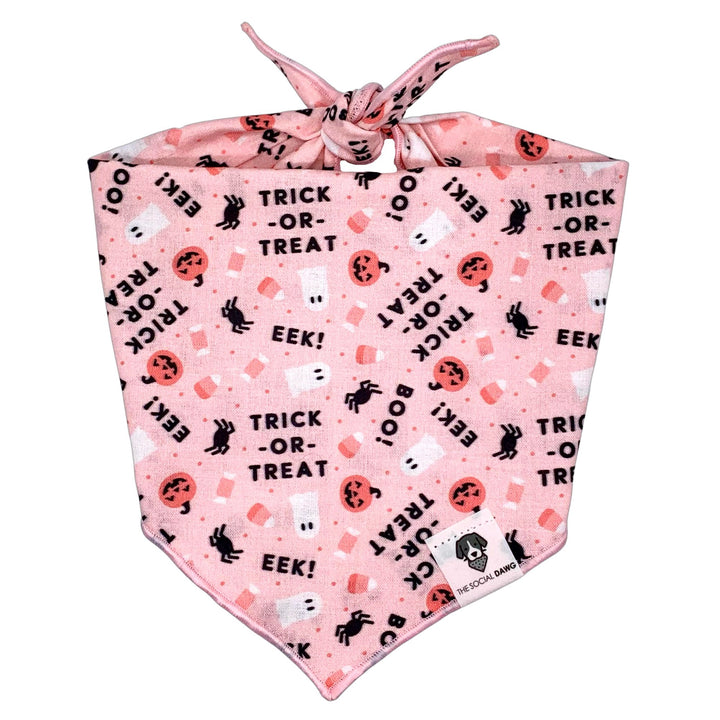 Trick-Or-Treat Dog Bandana With Ghosts