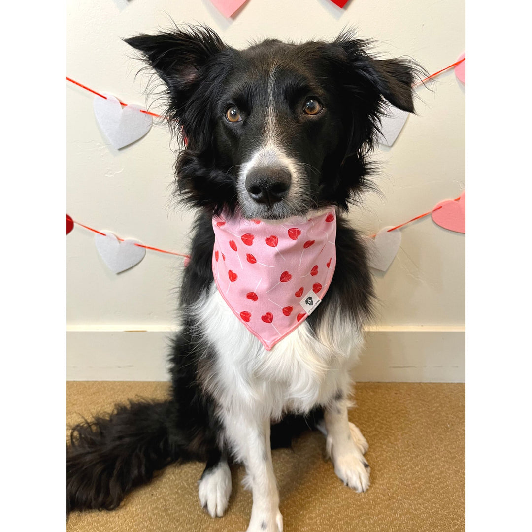 Valentine Heart Lollipops Tie-On Dog Bandana